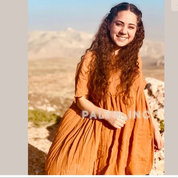 zara terracotta dress